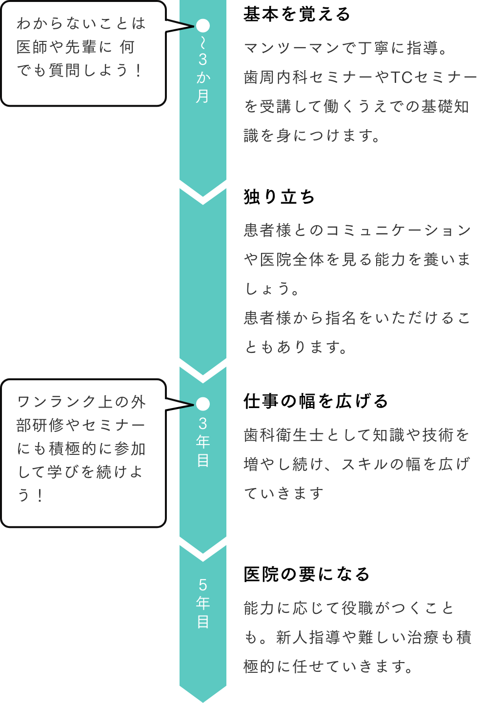 基本を覚えるマンツーマンで丁寧に指導。⻭周内科セミナーやTCセミナーを受講して働くうえでの基礎知識を⾝につけます。 独り⽴ち患者様とのコミュニケーションや医院全体を⾒る能⼒を養いましょう。患者様から指名をいただけることもあります。 仕事の幅を広げる⻭科衛⽣⼠として知識や技術を増やし続け、スキルの幅を広げていきます 医院の要になる能⼒に応じて役職がつくことも。新⼈指導や難しい治療も積極的に任せていきます。