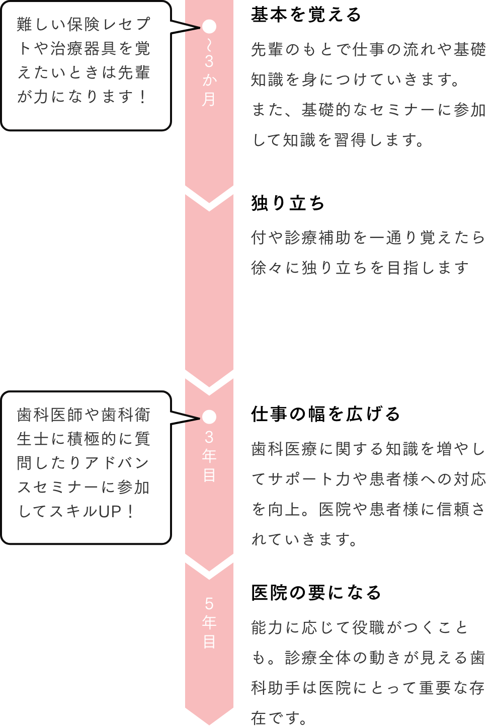 基本を覚える先輩のもとで仕事の流れや基礎知識を⾝につけていきます。また、基礎的なセミナーに参加して知識を習得します。 独り⽴ち付や診療補助を⼀通り覚えたら徐々に独り⽴ちを⽬指します 仕事の幅を広げる⻭科医療に関する知識を増やしてサポート⼒や患者様への対応を向上。医院や患者様に信頼されていきます。 医院の要になる能⼒に応じて役職がつくことも。診療全体の動きが⾒える⻭科助⼿は医院にとって重要な存在です。